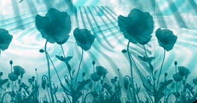 Pretty+teal+flowers